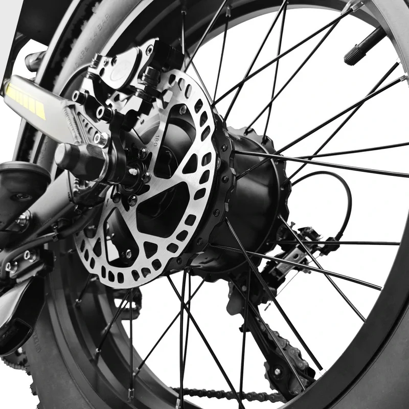 POLEEJIEK RT001 20" Retro Fat Tire Mountain Electric Bike 3000W Dual Motors 48V 25.6Ah Battery