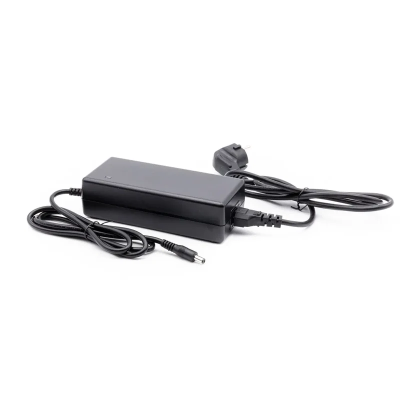 CARICATORE 42V, 2A per Ebike Ducati e Argento Foldable
