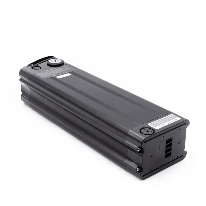 BATTERIA Panasonic 48V da 12.8Ah (Argento BI MAX XL)