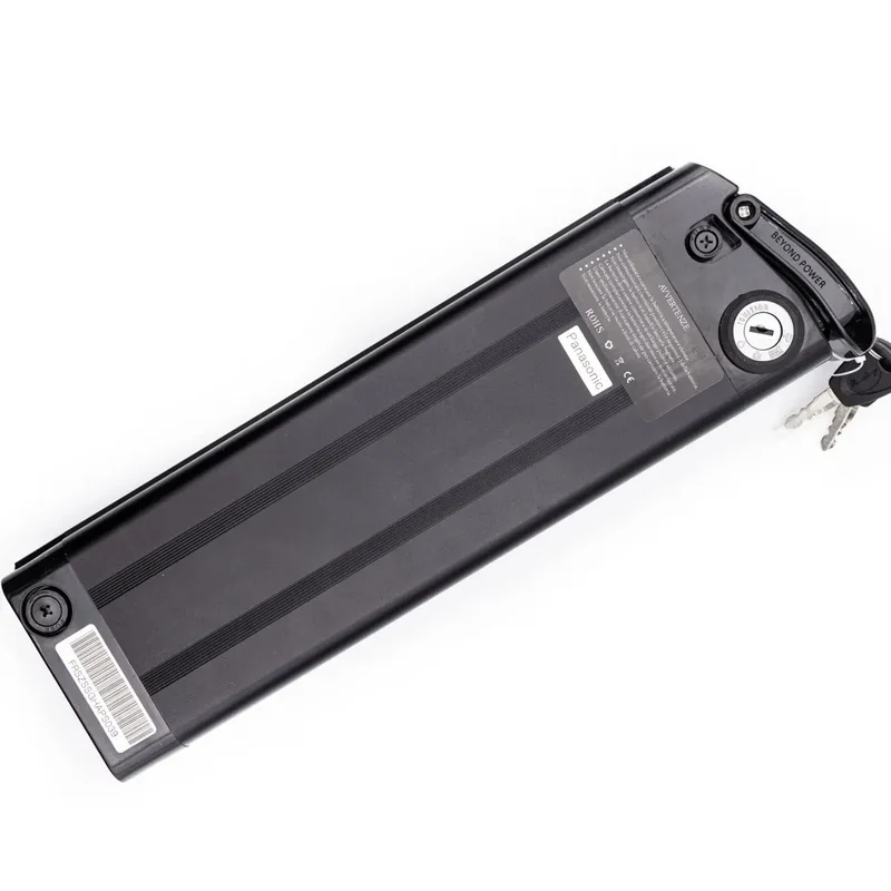 BATTERIA Panasonic 48V da 12.8Ah (Argento BI MAX XL)