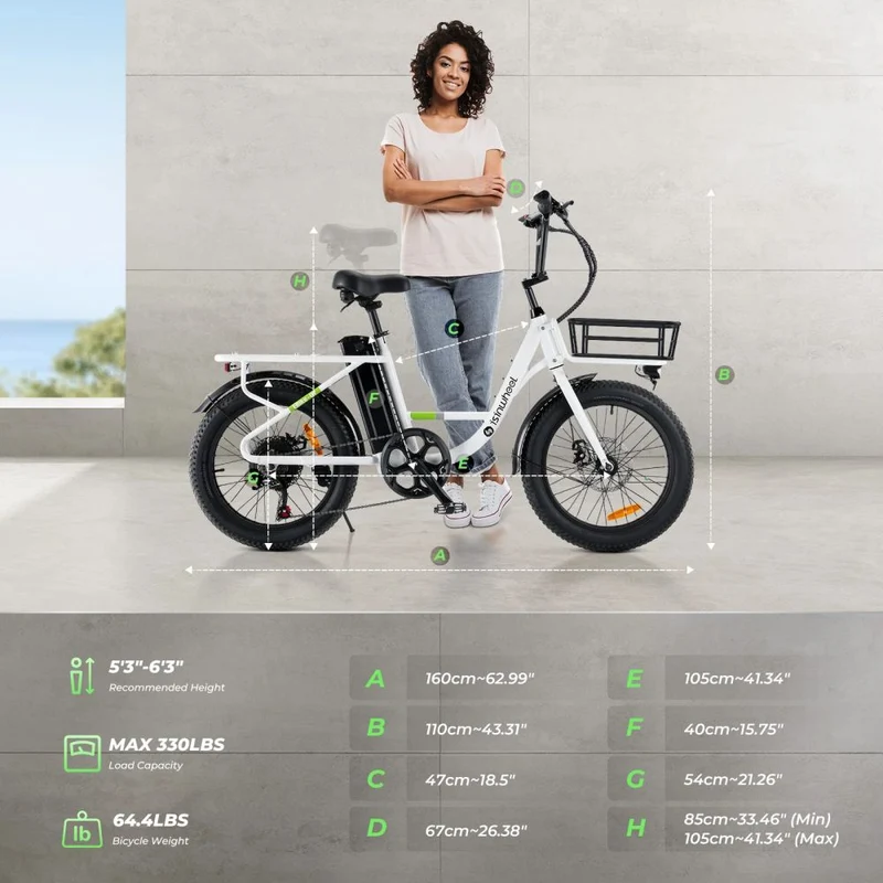 ISINWHEEL U7 20" Step-Thru Cargo Electric Bike 500W Motor 48V 10.4Ah Battery
