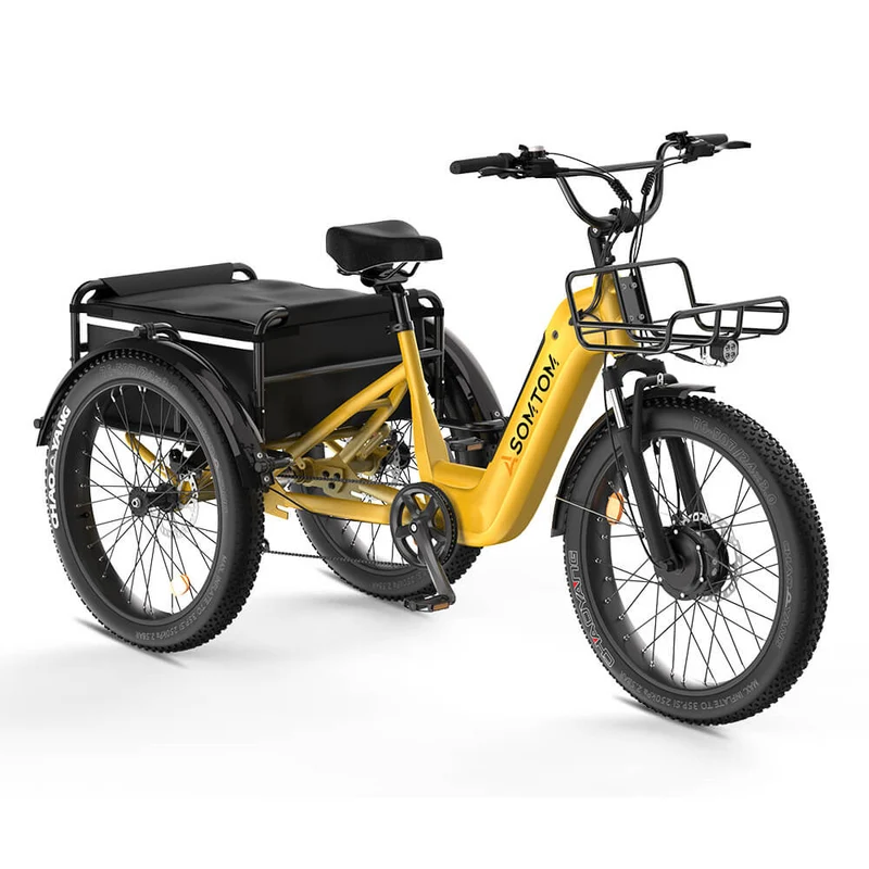 ASOMTOM WHALE 3.0 24" High-Capacity Durable Electric Trike 500W Motor 48V 20Ah Battery