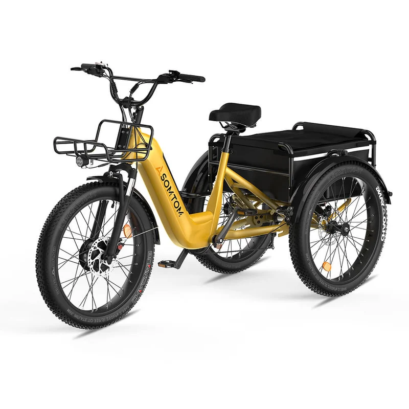 ASOMTOM WHALE 3.0 24" High-Capacity Durable Electric Trike 500W Motor 48V 20Ah Battery