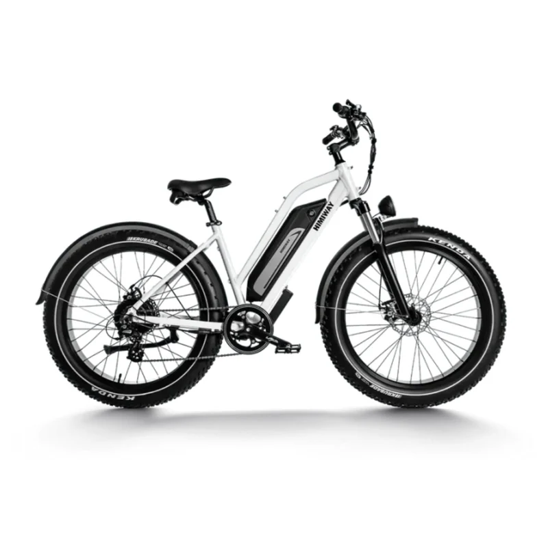 HIMIWAY D3 ST (Cruiser ST) 26" All Terrain Step Thru Electric Bike 750W Motor 48V 15Ah Battery