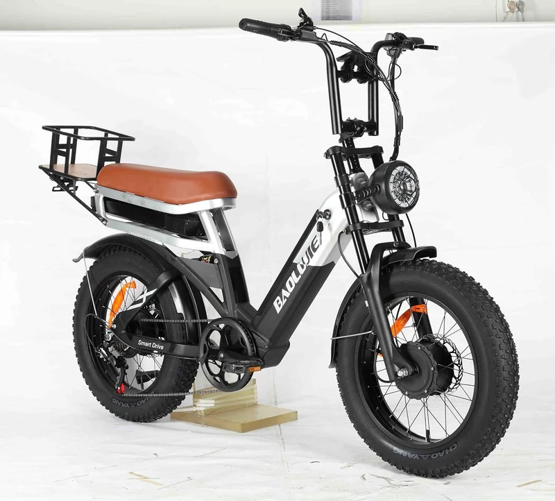 BAOLUJIE PLJ2033 Step-Thru Electric Cargo Bike Combo