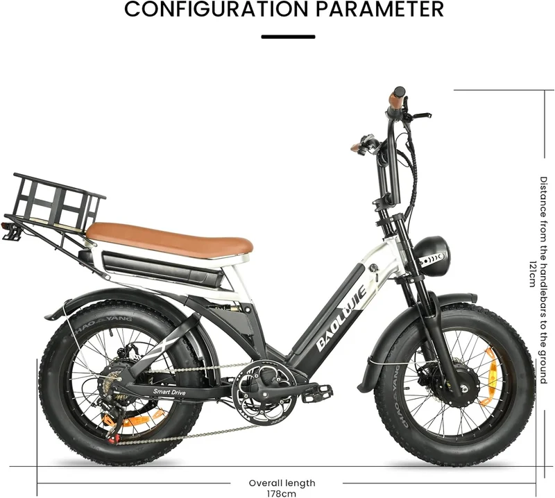 BAOLUJIE PLJ2033 Step-Thru Electric Cargo Bike Combo