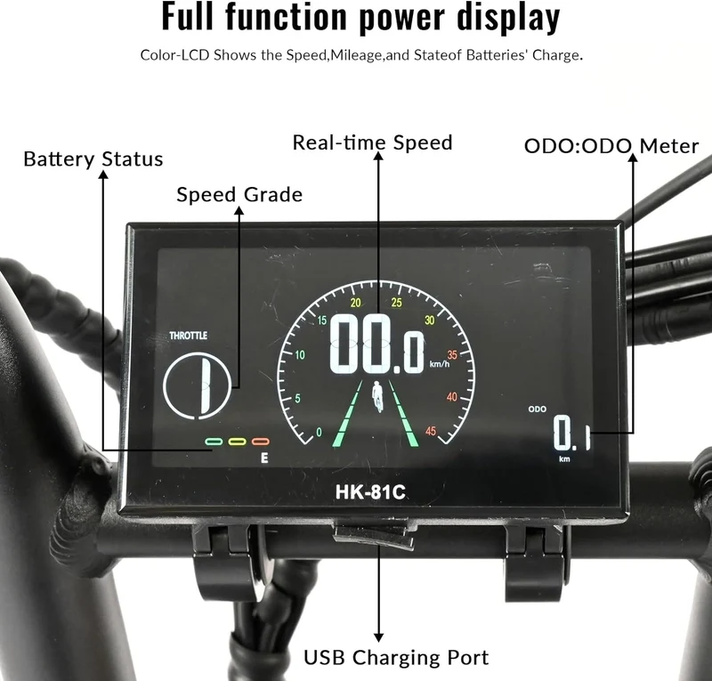 BAOLUJIE PLJ2033 Step-Thru Electric Cargo Bike Combo