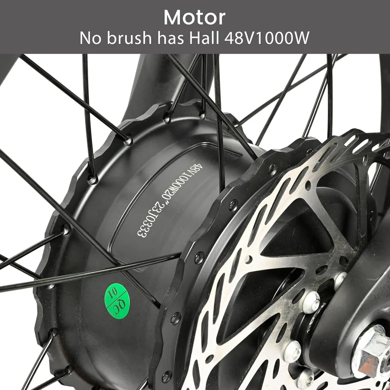 BAOLUJIE PLJ2033 Step-Thru Electric Cargo Bike Combo
