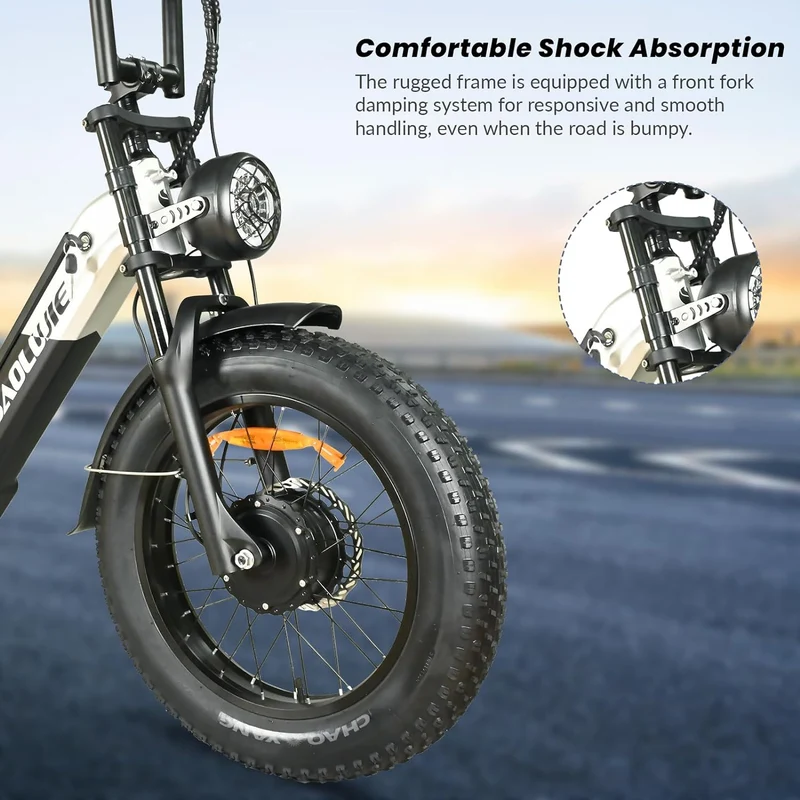 BAOLUJIE PLJ2033 Step-Thru Electric Cargo Bike Combo