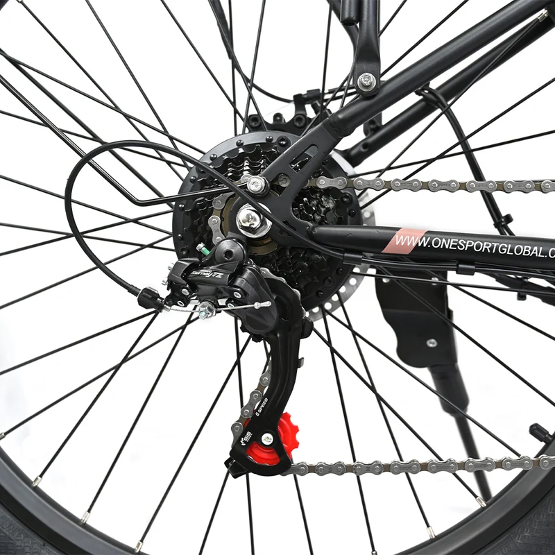 ONESPORT OT18-3 Step-Thru Electric Bike Combo