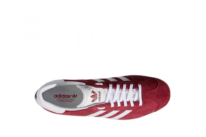 Gazelle
