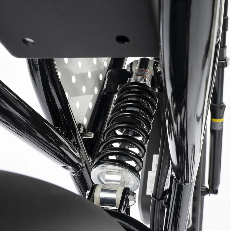 YVY C20Lite 20" Fat Tires Electric Bikes 1000W Motor 48V 15Ah Battery
