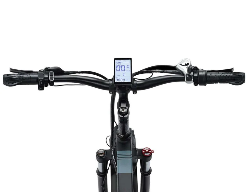 RIDSATR H20 20" Foldble Electric Bike 1000W Motor 48V 15Ah Battery