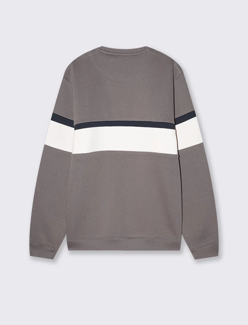 Felpa girocollo con ricamo e fascia contrasto - Grigio