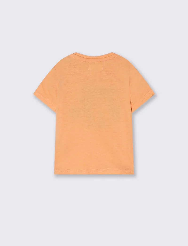 T shirt estiva girocollo manica corta - Pesca
