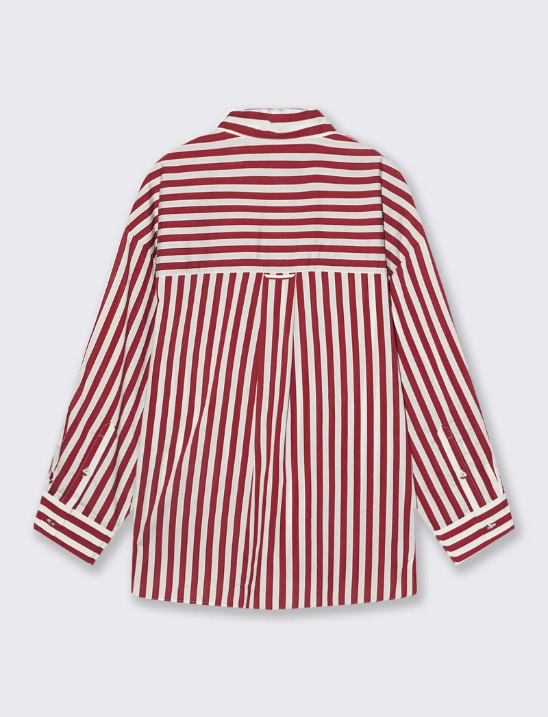 Camicia Manica Lunga a Righe - var 2