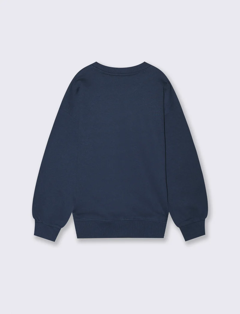 FELPA GIROCOLLO SONIC - Blu