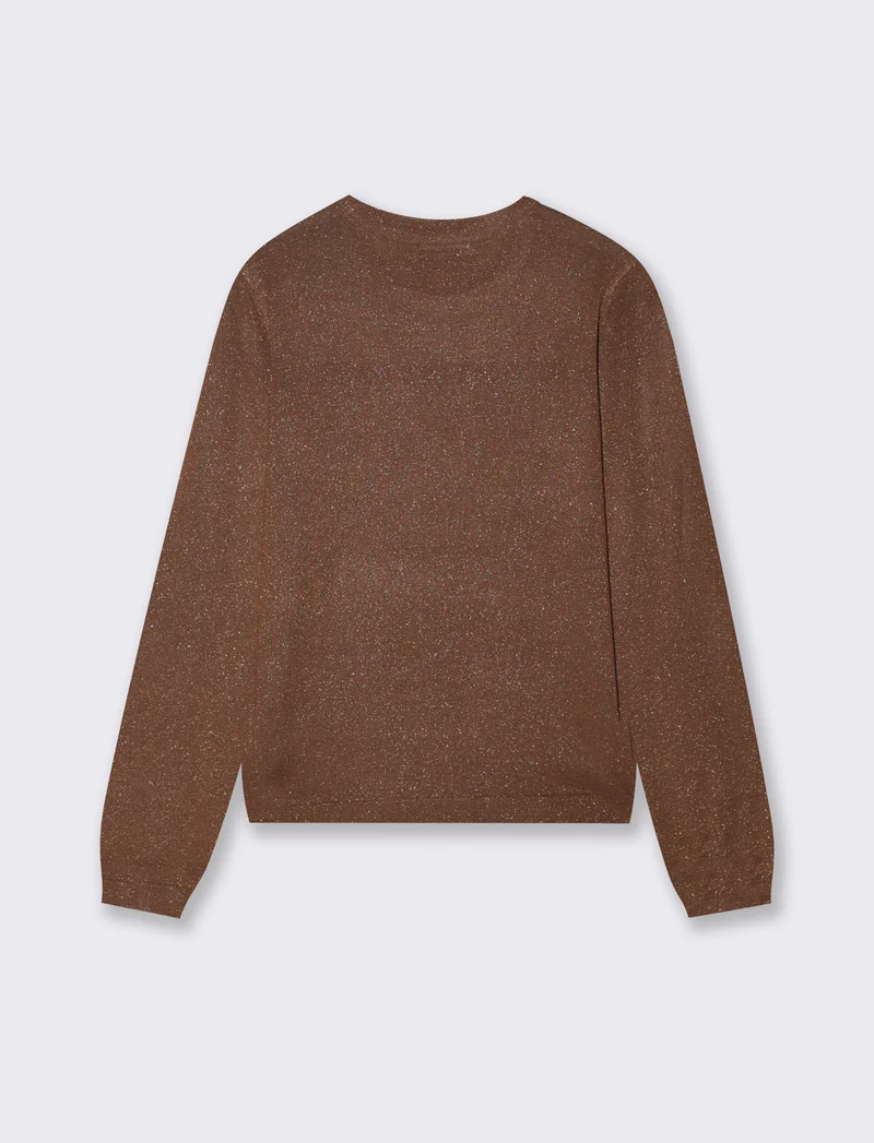 Maglia manica lunga effetto metallo - Marrone