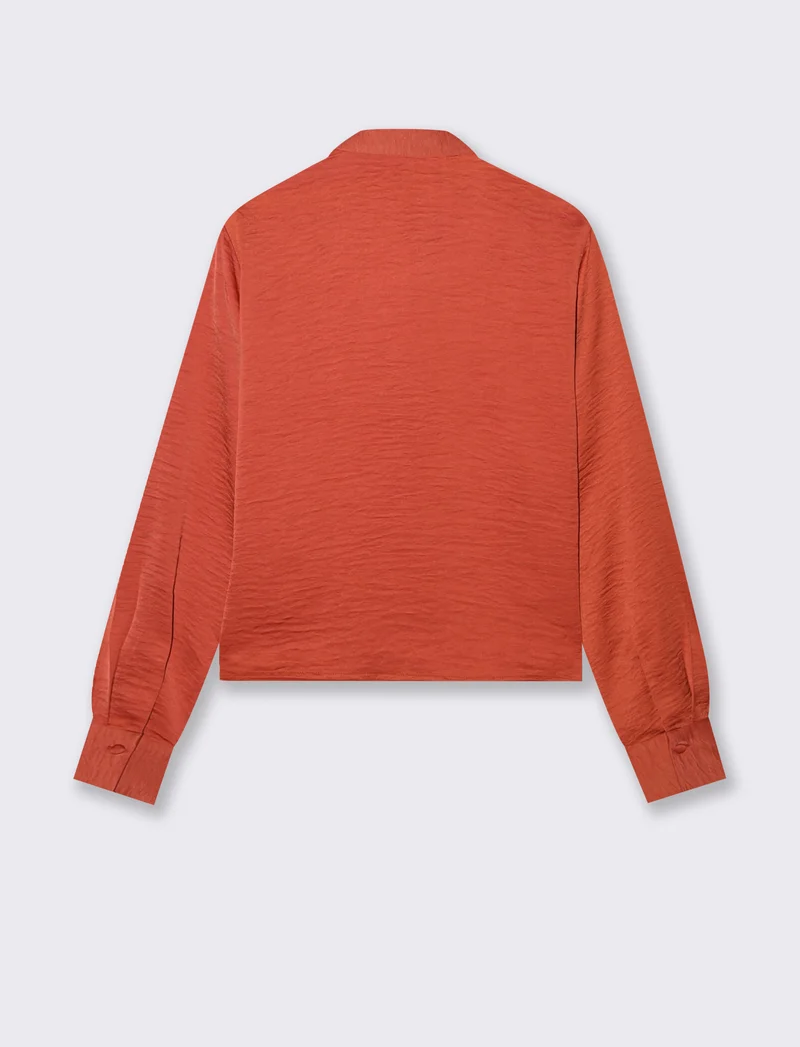 Camicia Crop Manica Lunga - Ruggine