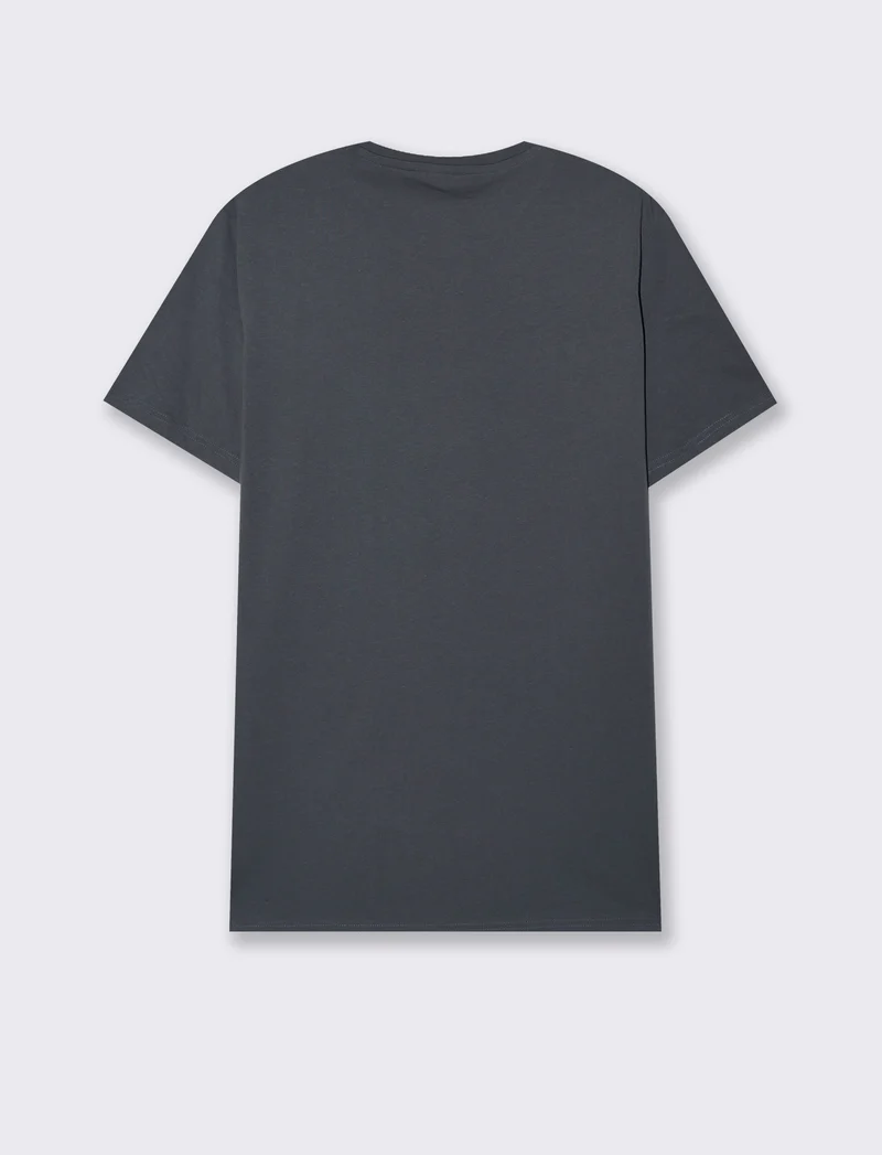 T-shirt in cotone con stampa regular fit da uomo - Avion