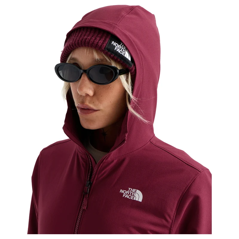 The North Face Shelbe Raschel Hoodie - Women's
