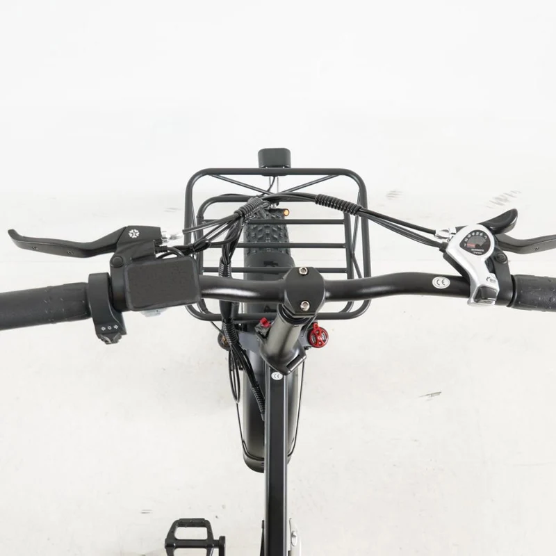 CMACEWHEEL GW20 750W 48V Bici elettrica 20 pollici 4.0 Fat Tire Biciclette elettriche 18Ah Batteria al litio Bici elettrica Pieghevole Mountain Bike