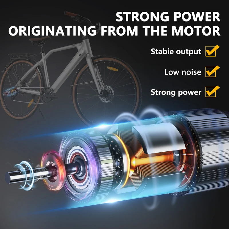 CMACEWHEEL F700-2 36V 250W Batteria rimovibile Bicicletta elettrica per pendolari