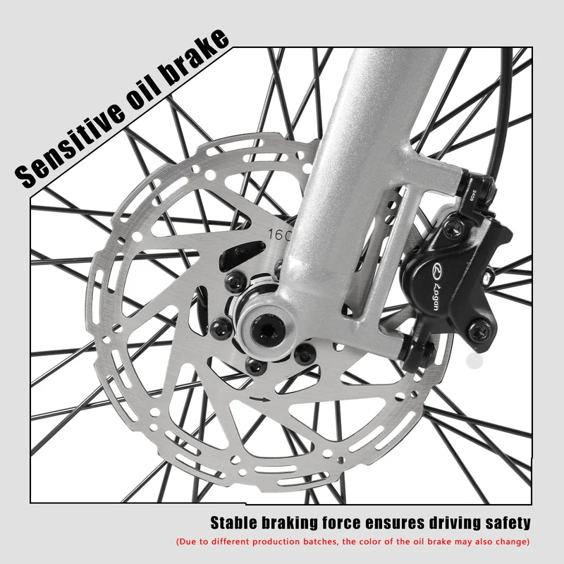 CMACEWHEEL F700-2 36V 250W Batteria rimovibile Bicicletta elettrica per pendolari