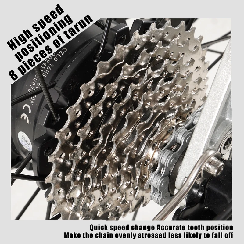 CMACEWHEEL F700-2 36V 250W Batteria rimovibile Bicicletta elettrica per pendolari