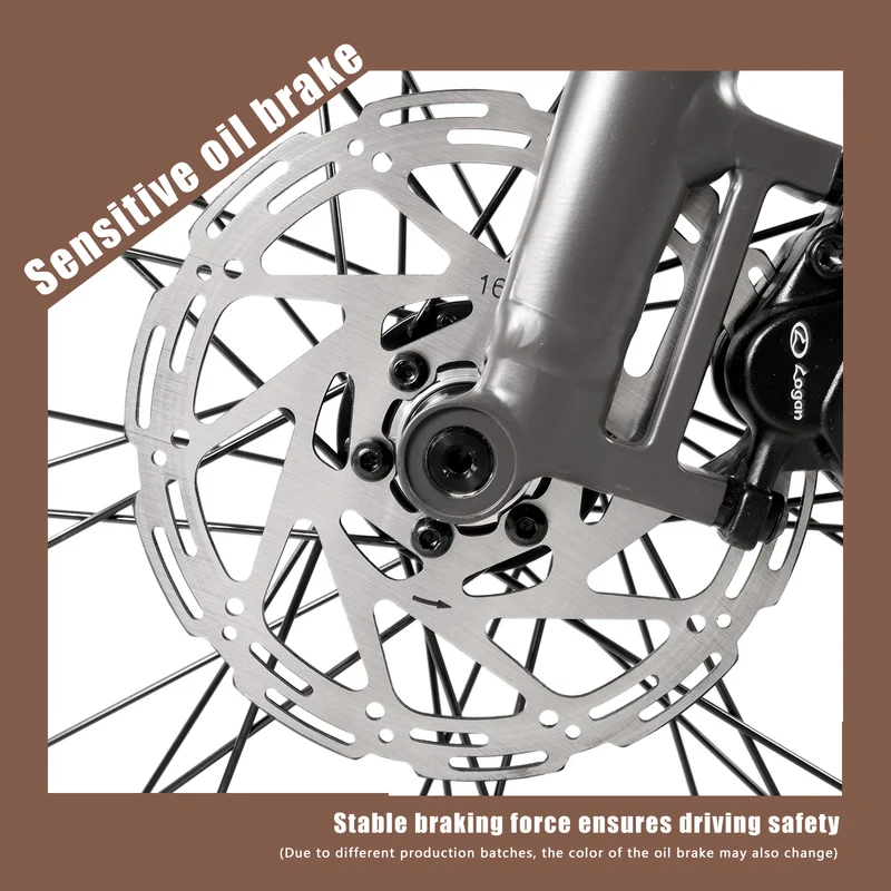 CMACEWHEEL F700-1 250W 10AH Batteria rimovibile Bicicletta elettrica per pendolari