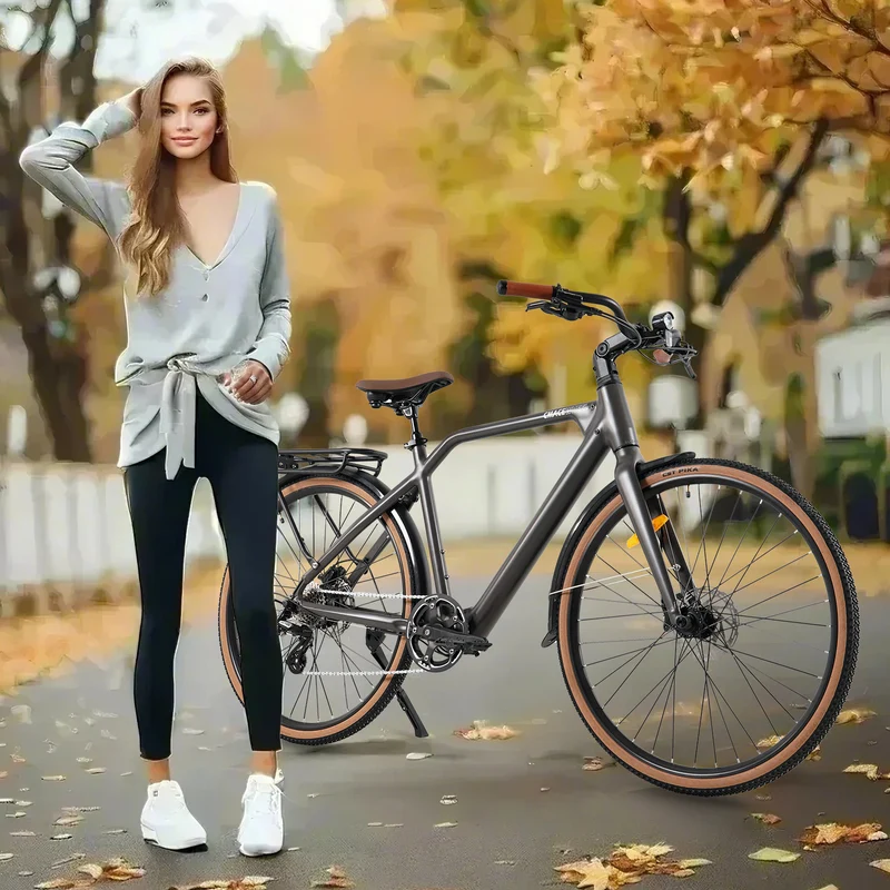 CMACEWHEEL F700-1 250W 10AH Batteria rimovibile Bicicletta elettrica per pendolari