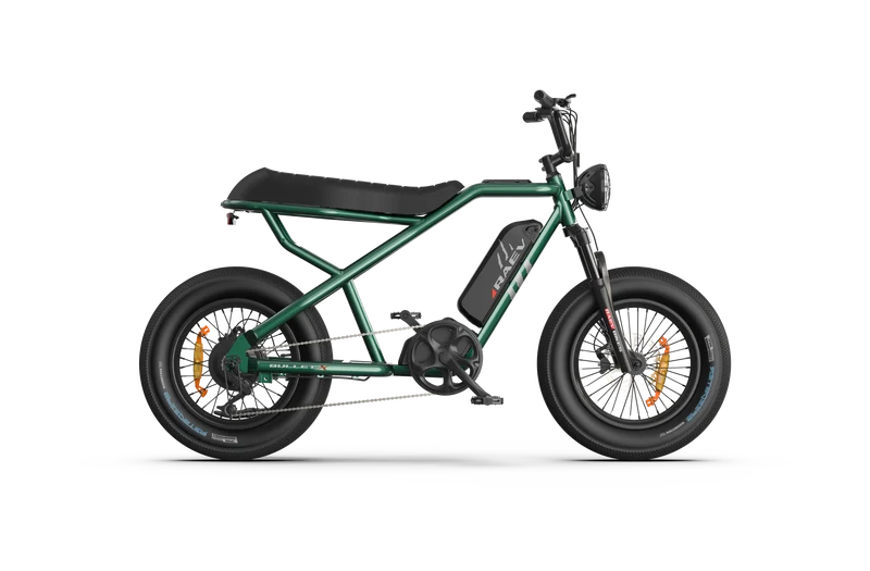 RAEV Bullet X /XF V2 Electric Bicycle