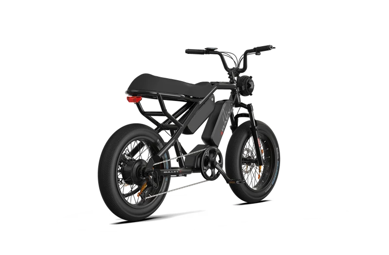 RAEV Bullet X /XF V2 Electric Bicycle