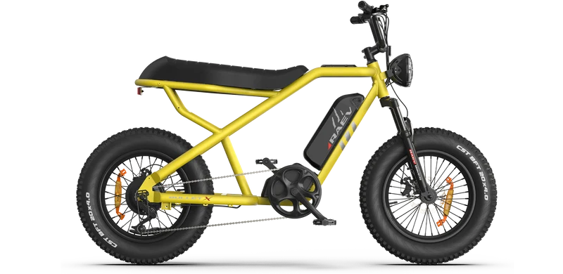 RAEV Bullet X