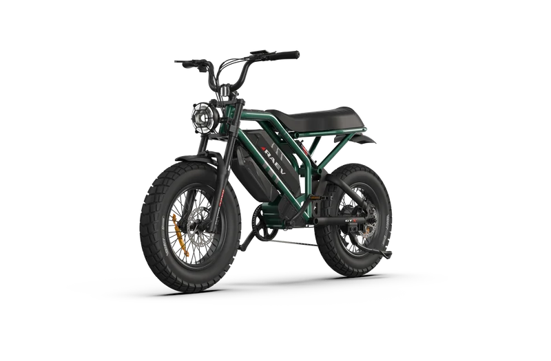 RAEV Bullet GTX Electric Bicycle