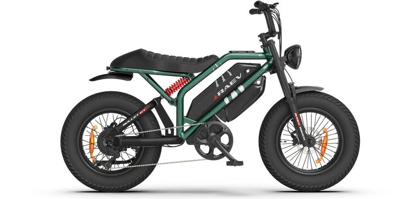 RAEV Bullet GT V2 Electric Bicycle