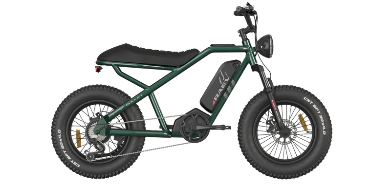 RAEV Bullet V1 Electric Bicycle