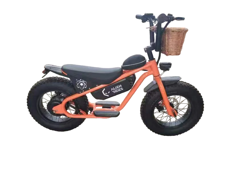 AR Atom 1000 Watt Mini Electric Bicycle