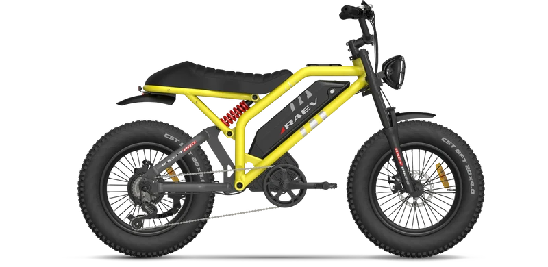 RAEV Bullet Pro E-Bike