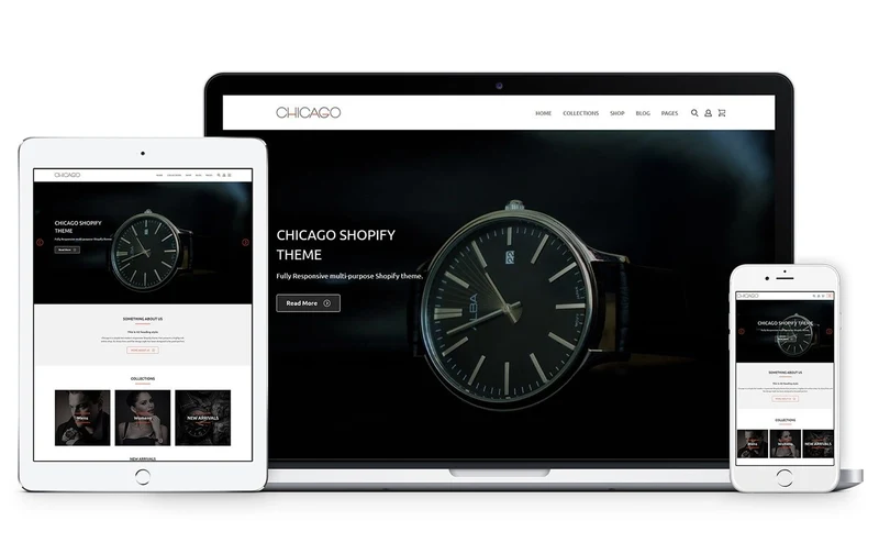 Jewelry Store Chicago Shopify Theme